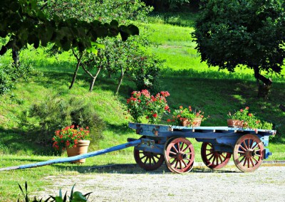 Agriturismo Il Popolano