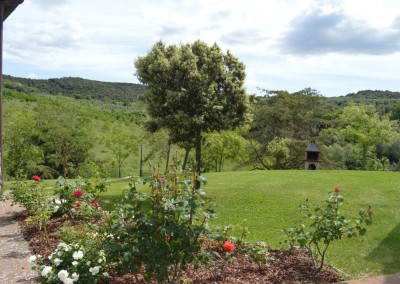 Casa la Medina