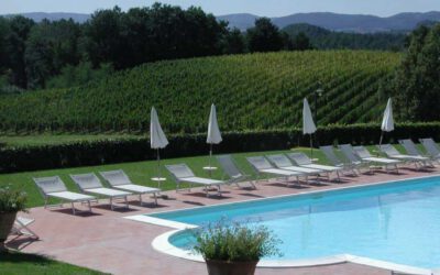 Aanbieding Borgo Uccelliera