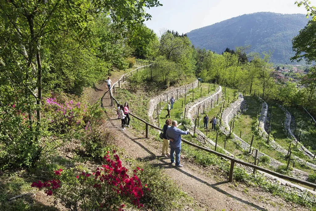 Casamia Vakanties onder de italiaanse zon Agriturismo al MottoMerengebied lago Maggiore06