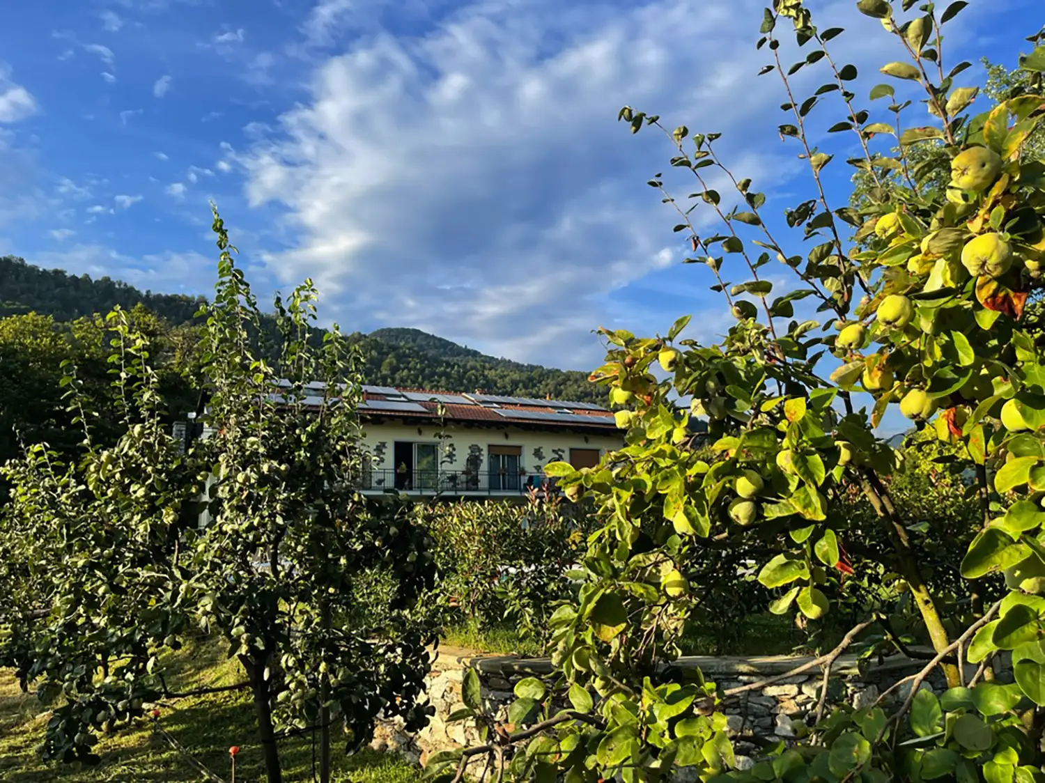 Casamia Vakanties onder de italiaanse zon Agriturismo al MottoMerengebied- lago Maggiore14