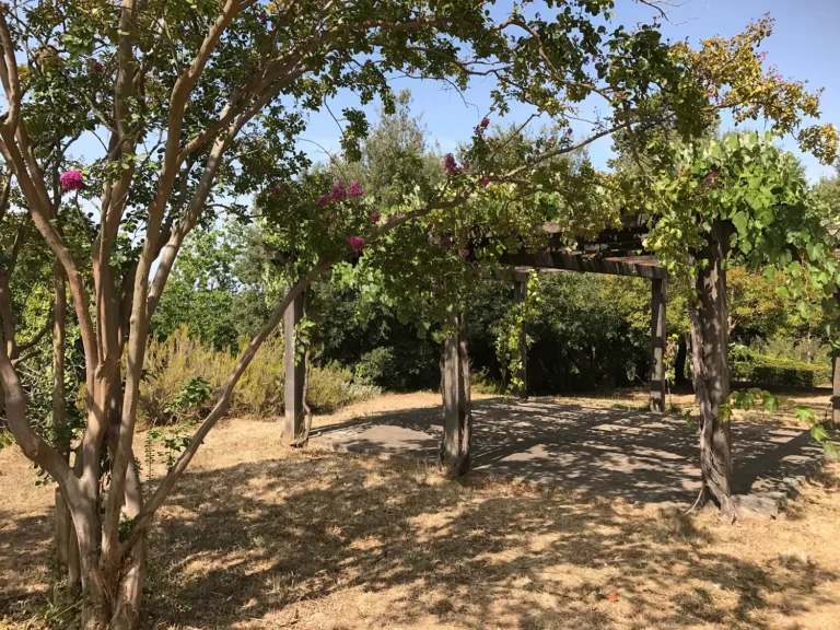 Casamia Vakanties onder de italiaanse zon Borgo Uccelliera AlgemeenToscanse kust Fauglia 43