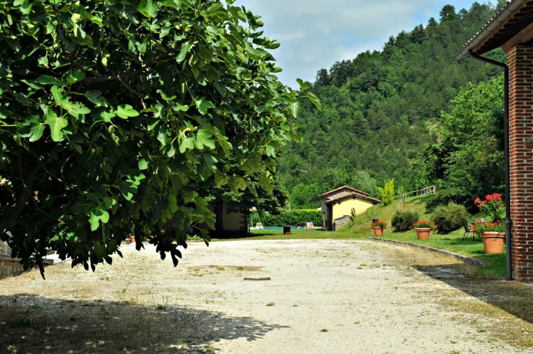 Casamia Vakanties onder de italiaanse zon. Agriturismo Popolano Algemeen Noord Toscane Marradi 28