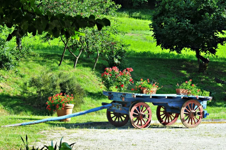 Casamia Vakanties onder de italiaanse zon. Agriturismo Popolano Algemeen Noord Toscane Marradi 29