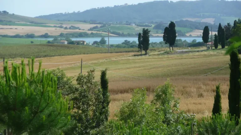 Casamia Vakanties onder de italiaanse zon. Agriturismo San Giorgio Algemeen Toscanse kust Santa Luce 04