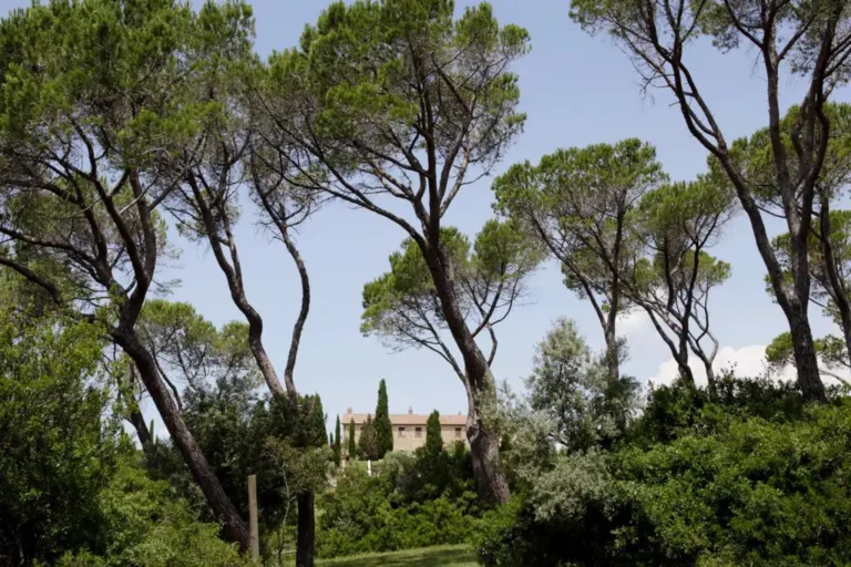 Casamia Vakanties onder de italiaanse zon. Agriturismo San Giorgio Algemeen Toscanse kust Santa Luce 78