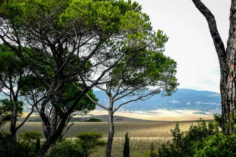 Casamia Vakanties onder de italiaanse zon. Agriturismo San Giorgio Algemeen Toscanse kust Santa Luce 88