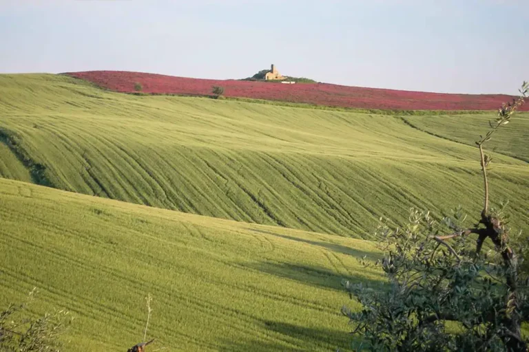 Casamia Vakanties onder de italiaanse zon. Agriturismo San Giorgio Algemeen Toscanse kust Santa Luce 90
