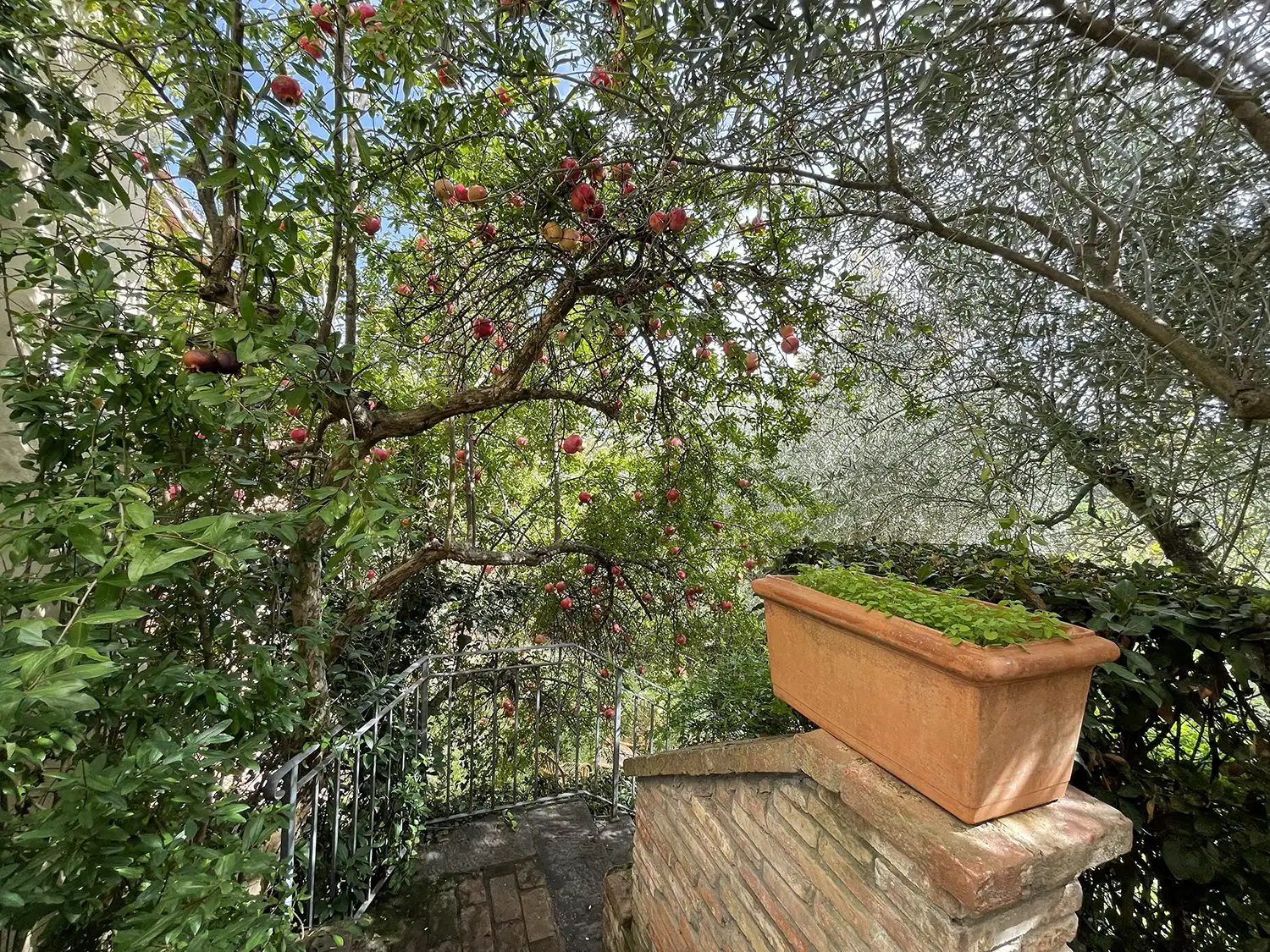 Casamia Vakanties onder de italiaanse zon. – Borgo Uccelliera – Melograno -Toscanse kust – Fauglia – 06