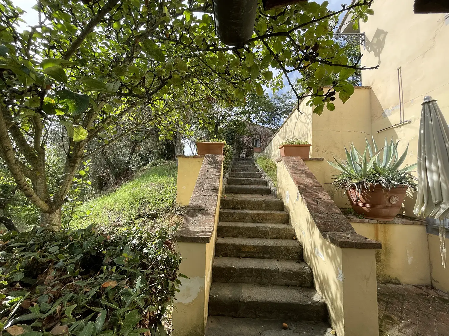 Casamia Vakanties onder de italiaanse zon. – Borgo Uccelliera – Melograno -Toscanse kust – Fauglia – 10