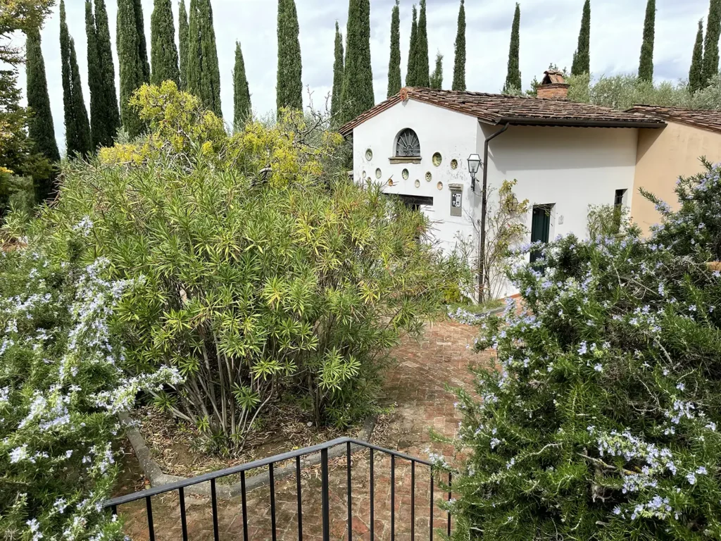 Casamia Vakanties onder de italiaanse zon. Borgo Uccelliera Olivi Toscanse kust Fauglia 37