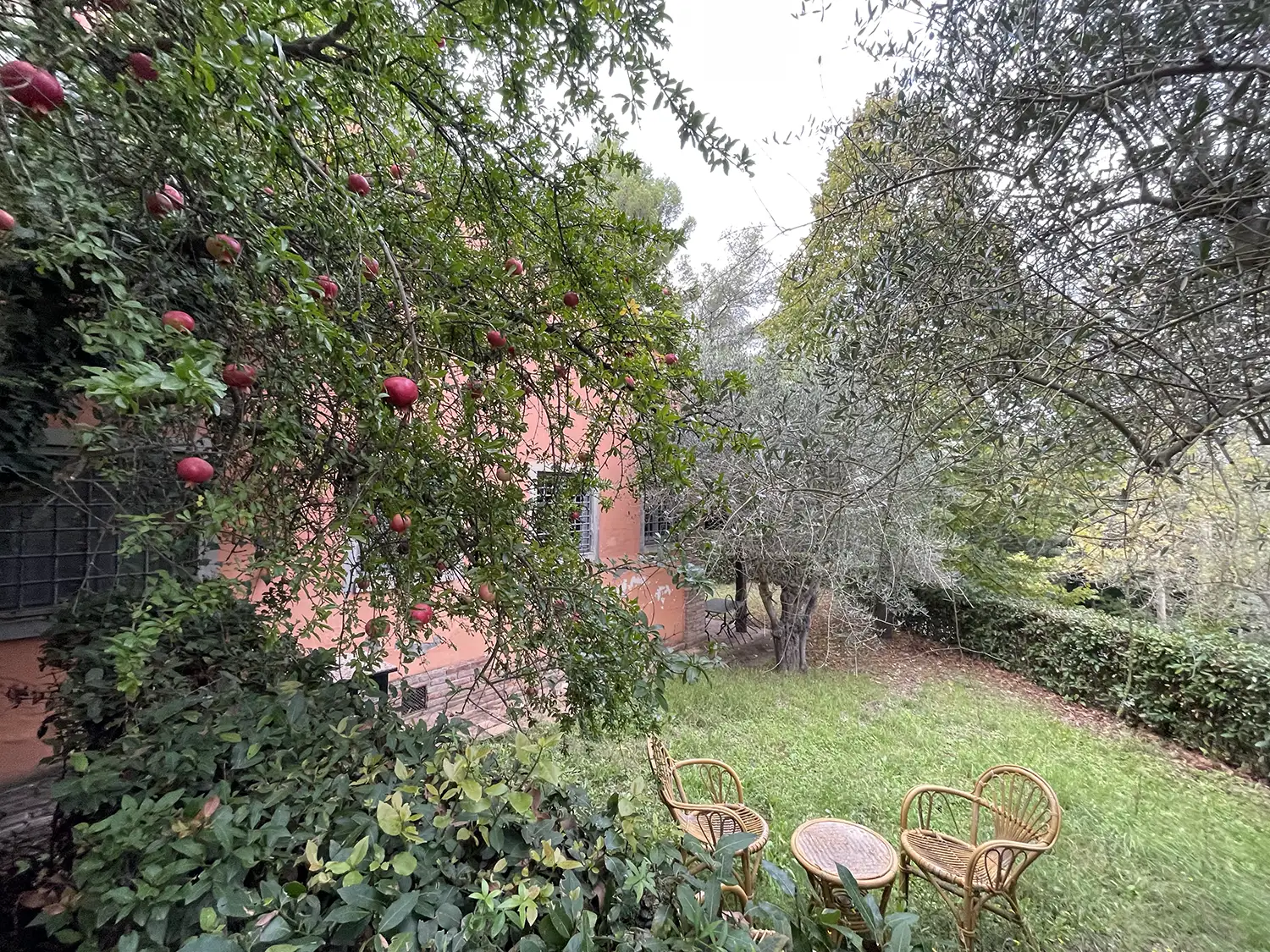Casamia Vakanties onder de italiaanse zon. – Borgo Uccelliera – Scuderia -Toscanse kust – Fauglia – 48