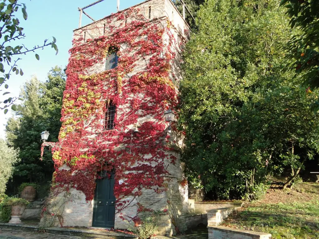 Casamia Vakanties onder de italiaanse zon. – Borgo Uccelliera – Vinsantaia – Olivaia -Toscanse kust – Fauglia – 02