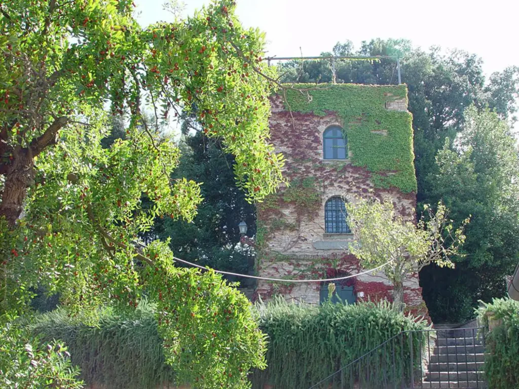 Casamia Vakanties onder de italiaanse zon. Borgo Uccelliera Vinsantaia Olivaia Toscanse kust Fauglia 04