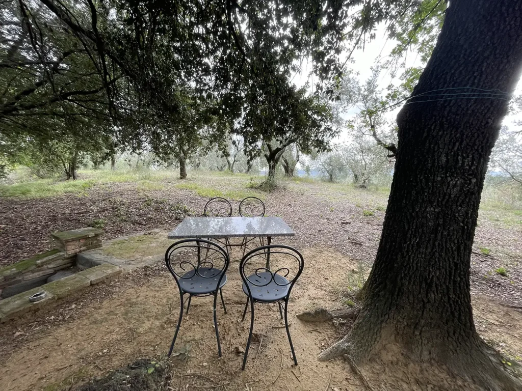 Casamia Vakanties onder de italiaanse zon. Borgo Uccelliera Vinsantaia Olivaia Toscanse kust Fauglia 10
