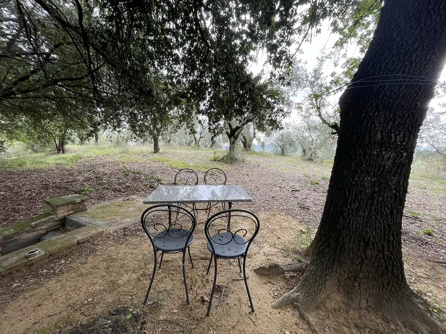 Casamia Vakanties onder de italiaanse zon. – Borgo Uccelliera – Vinsantaia – Olivaia -Toscanse kust – Fauglia – 10