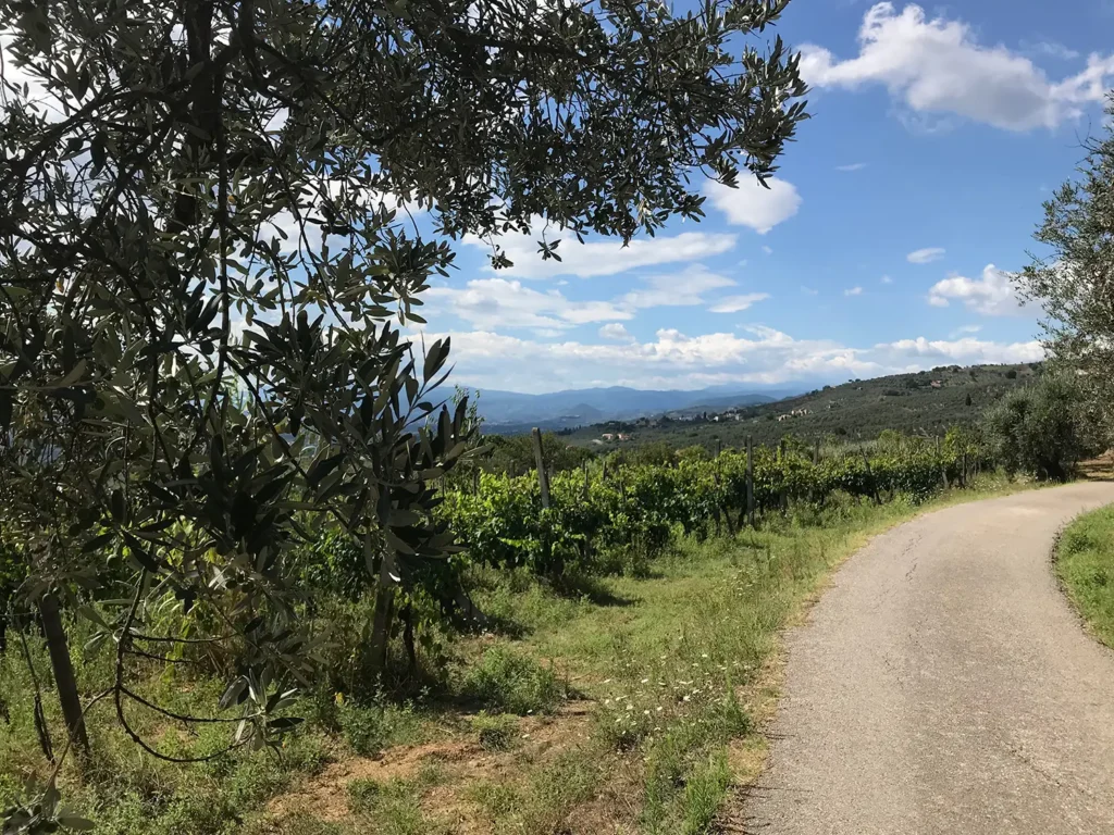 Casamia Vakanties onder de italiaanse zon. Casa Carbonaia Algemeen Noord Toscane Vinci 06