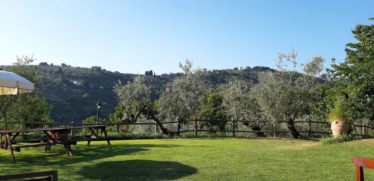 Casamia Vakanties onder de italiaanse zon. Casa Carbonaia Algemeen Noord Toscane Vinci 18