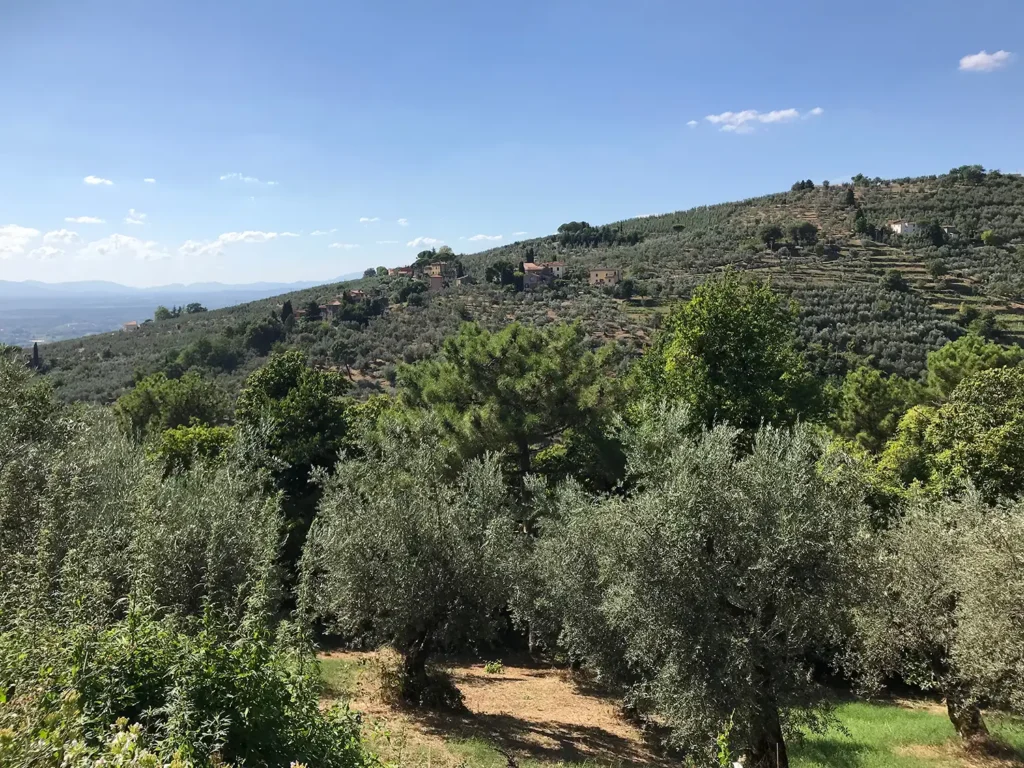 Casamia Vakanties onder de italiaanse zon. Casa Carbonaia Garzetta Noord Toscane Vinci 06