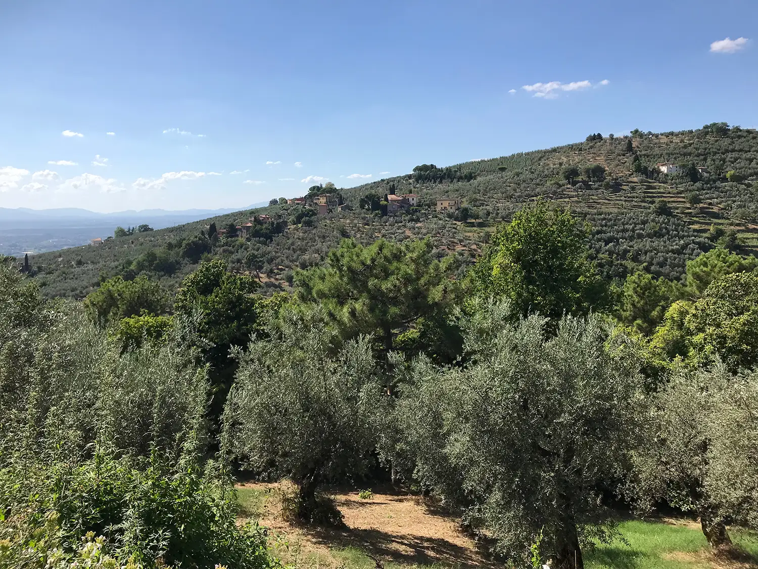 Casamia Vakanties onder de italiaanse zon. – Casa Carbonaia – Garzetta – Noord Toscane – Vinci – 06