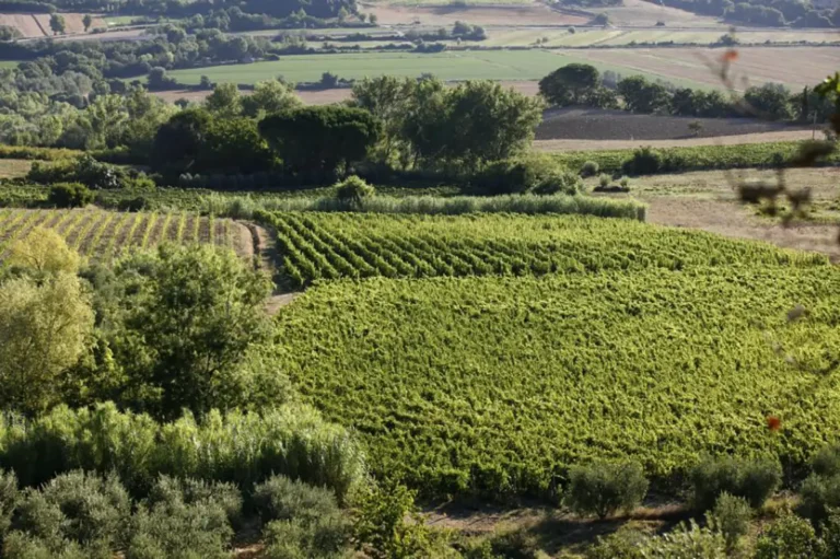 Casamia Vakanties onder de italiaanse zon. Podere la Fonte AlgemeenToscanse kust Cecina 23