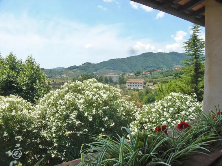Casamia Vakanties onder de italiaanse zon. Villa Giglio Toscanse kust Lucca 28