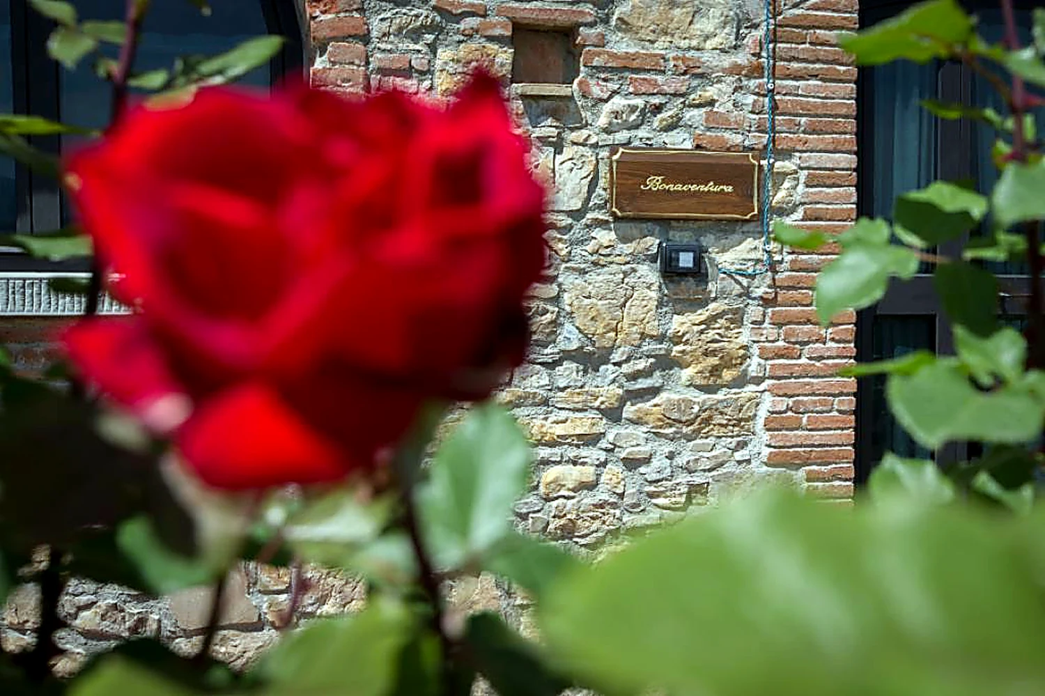Casamia Vakanties onder de italiaanse zon. – Vita Nova – Buonaventura – Noord Toscane – Vicchio – 02