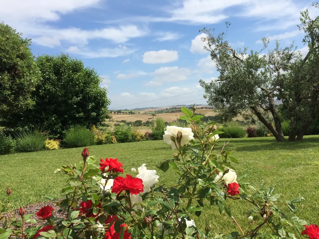 Casamia Vakanties onder de italiaanse zon. – Fattoria di Paltratico – Algemeen – Toscaanse kust – Località scaforno – 15