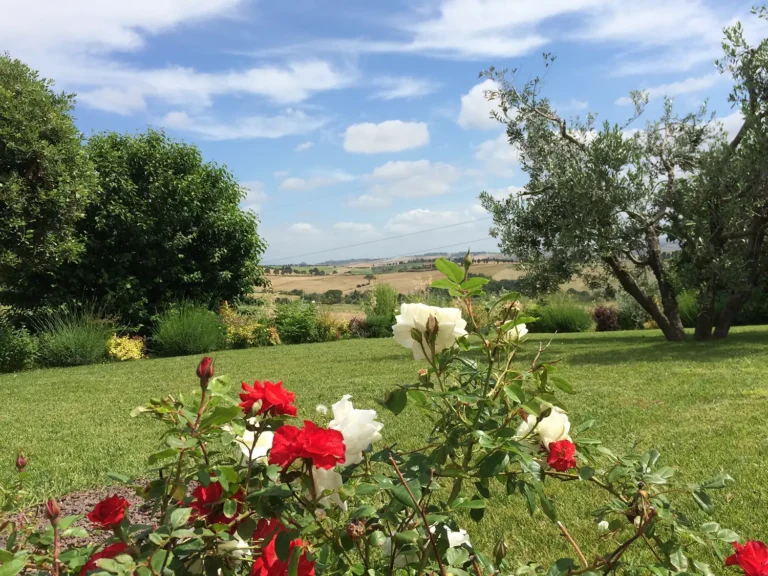 Casamia Vakanties onder de italiaanse zon. Fattoria di Paltratico Algemeen Toscaanse kust Localita scaforno 15