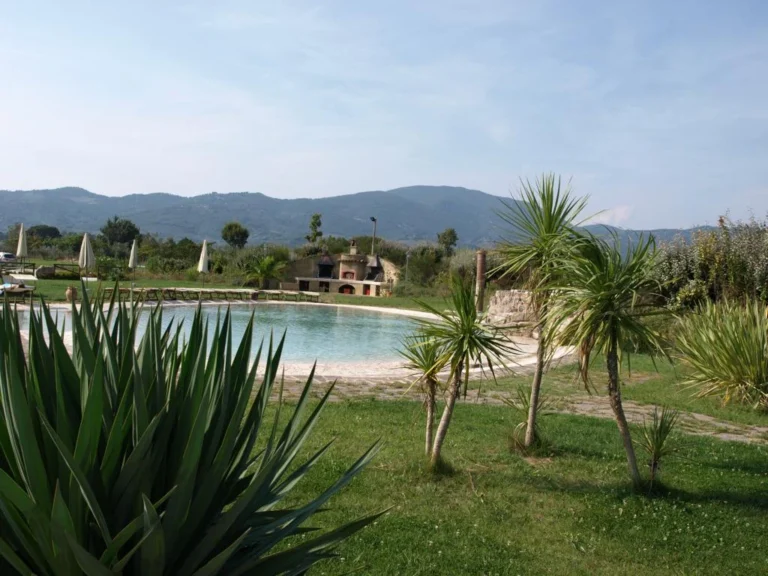 Toscaanse kust agriturismo del re zwembad palmen