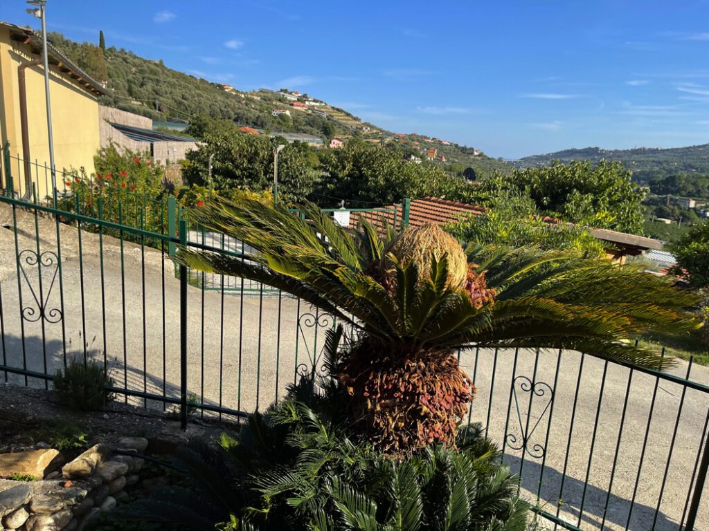 Casamia vakantie onder de italiaanse zon Liguria Agriturismo Benza Casa Mimosa Ciliegio 001 004