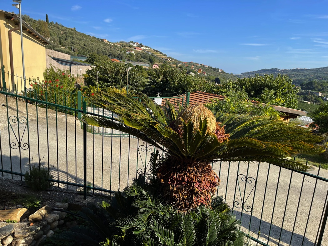 Casamia-vakantie-onder-de-italiaanse-zon-Liguria-Agriturismo-Benza-Casa-Mimosa-Ciliegio-001-004