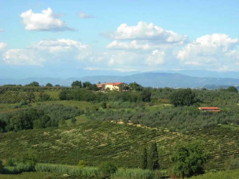 Hartje toscane agriturismo il monte landschap