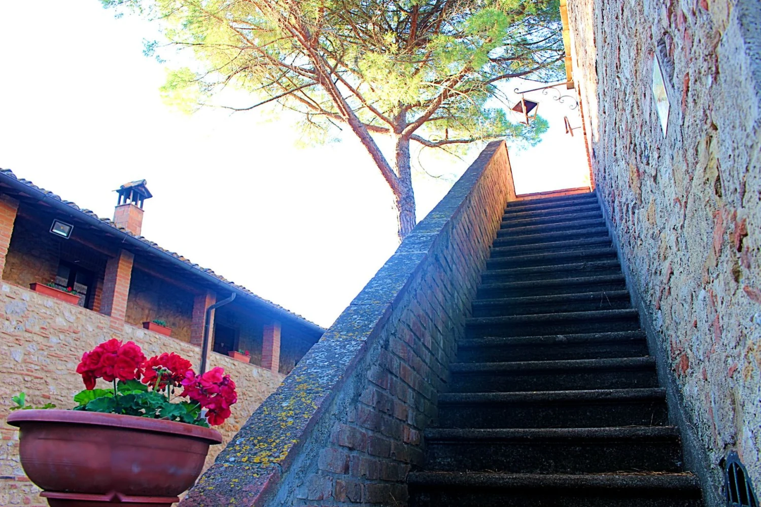 hartje-toscane-borgo-santinovo-belvedere-terras-en-buitenkant-482-casamia