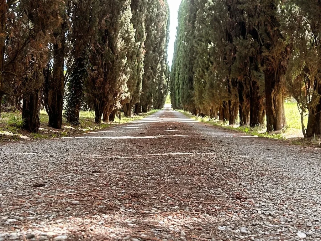Hartje toscane borgo santinovo oprijlaan met bomen