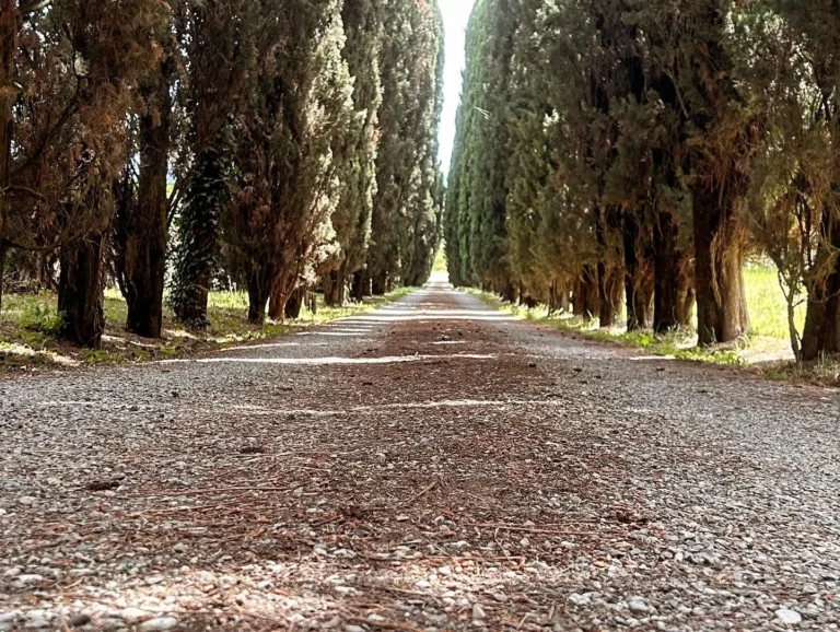 Hartje toscane borgo santinovo oprijlaan met bomen