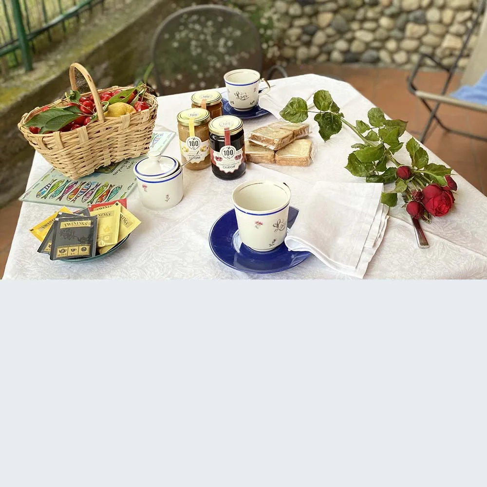 liguria-agriturismo-benza-casa-mimosa-ontbijt-terras-11-casamia