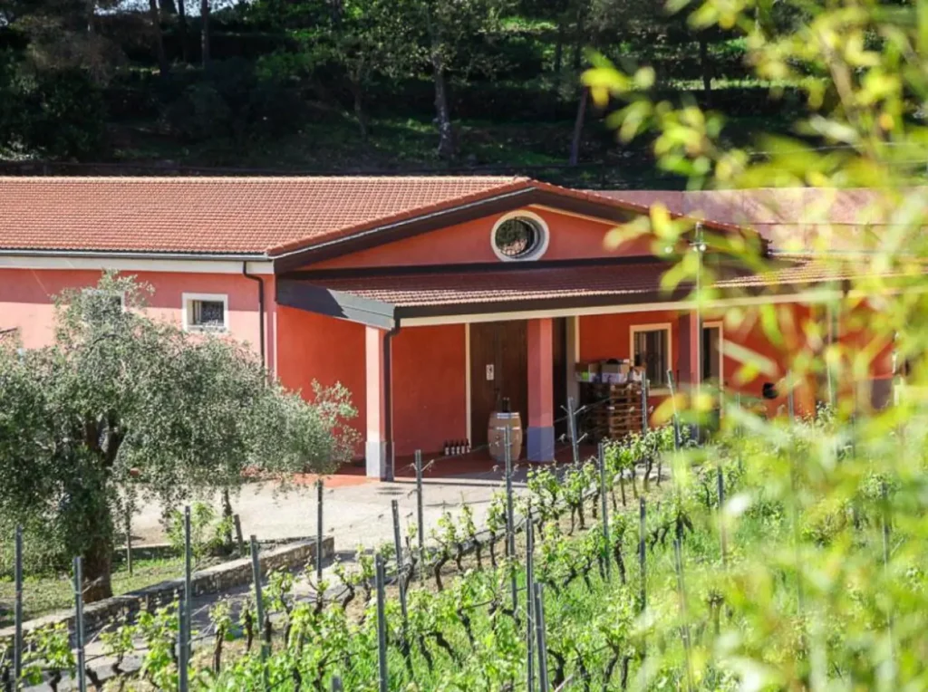 Liguria agriturismo bianchi accommodatie wijngaard