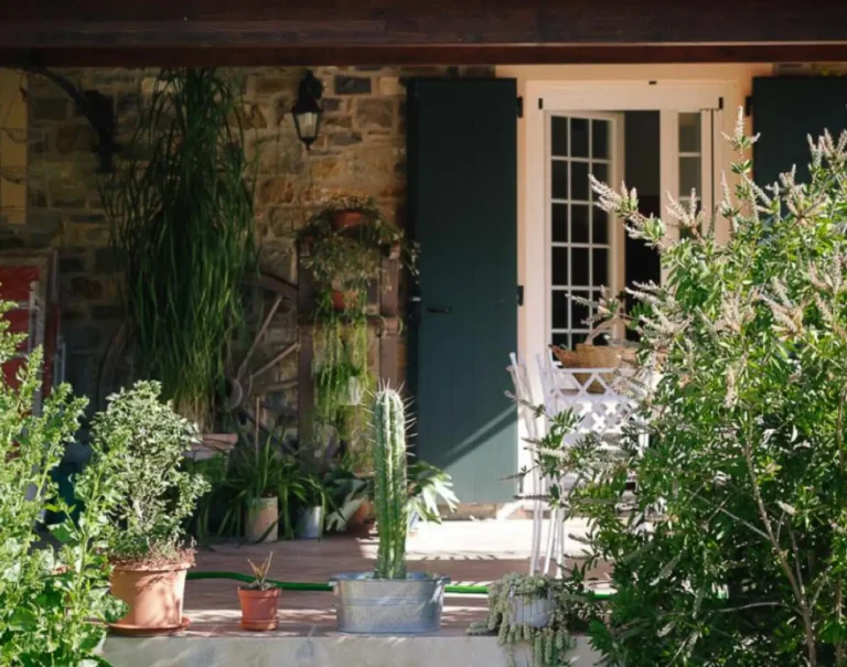 Liguria agriturismo bianchi appartement entree