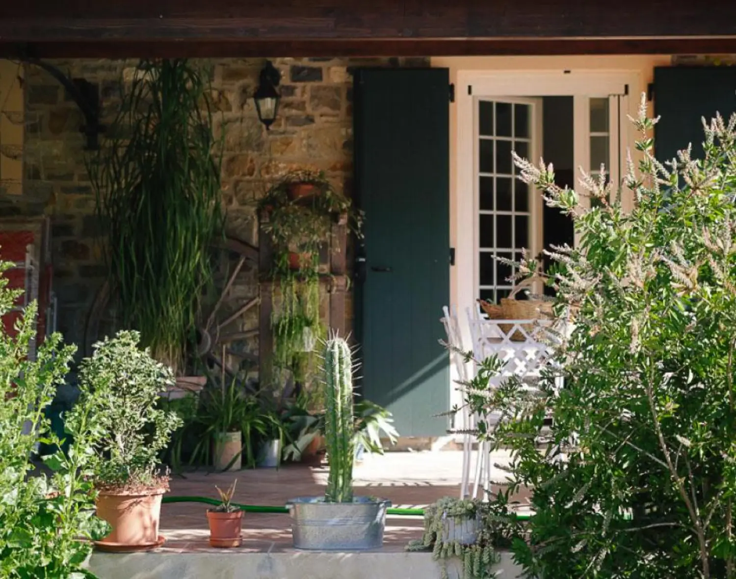 liguria-agriturismo-bianchi-appartement-entree-08-casamia