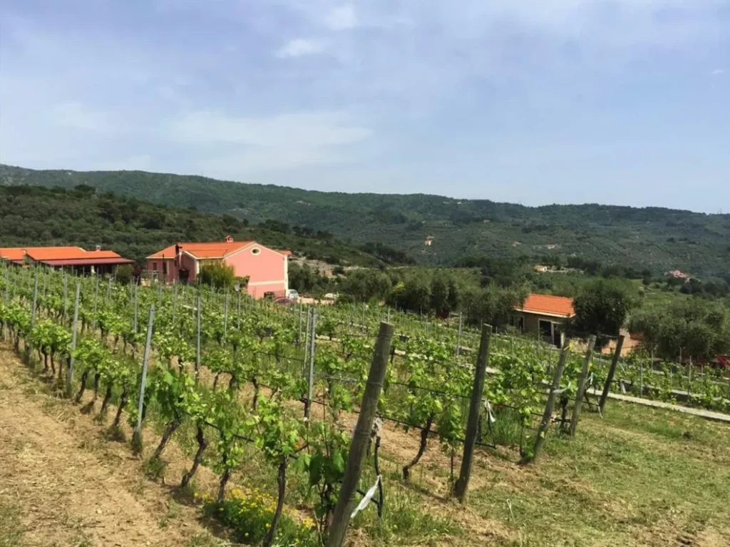 Liguria agriturismo bianchi appartement wijngaard