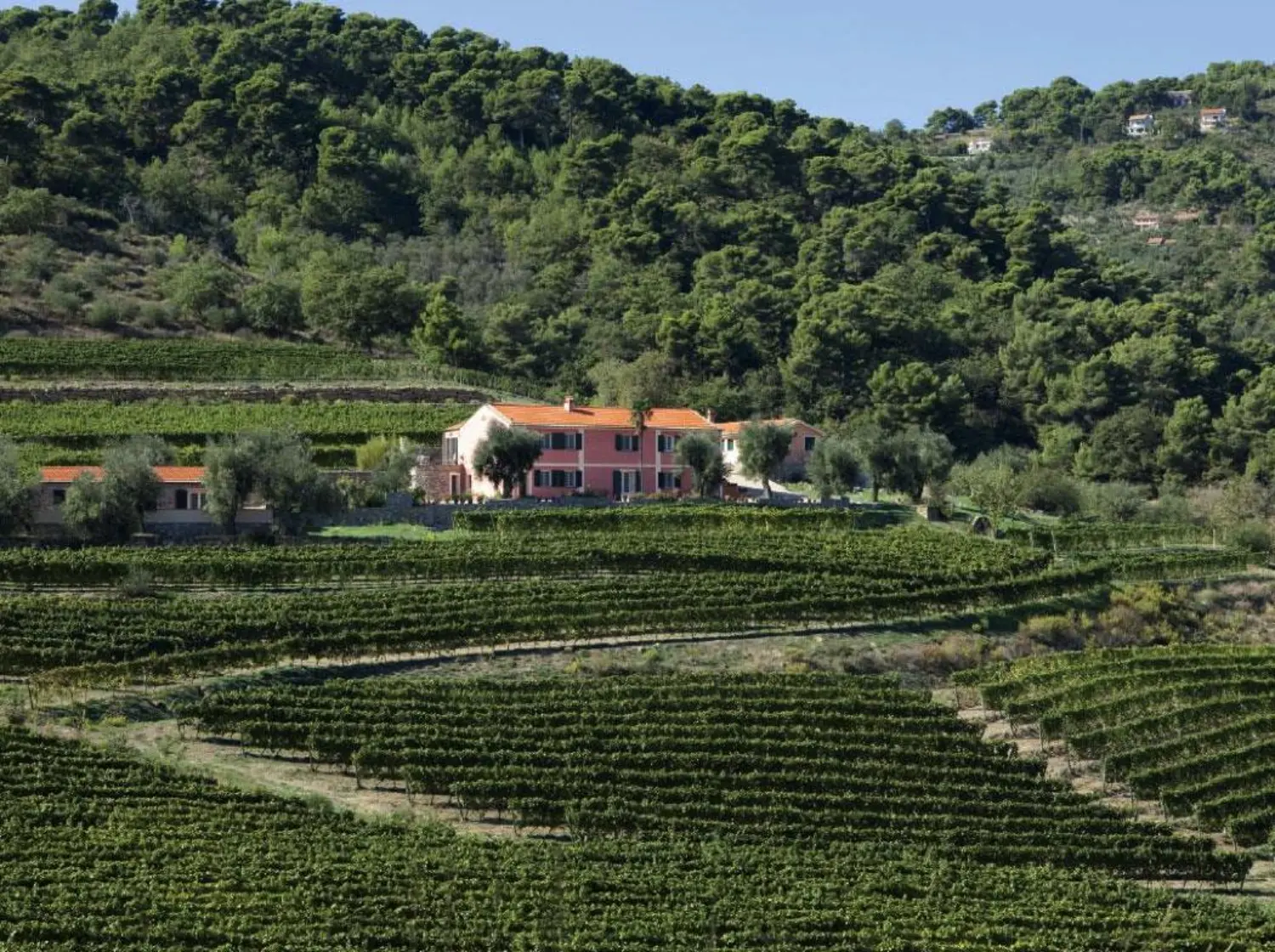 liguria-agriturismo-bianchi-landgoed-wijngaarden-12-casamia