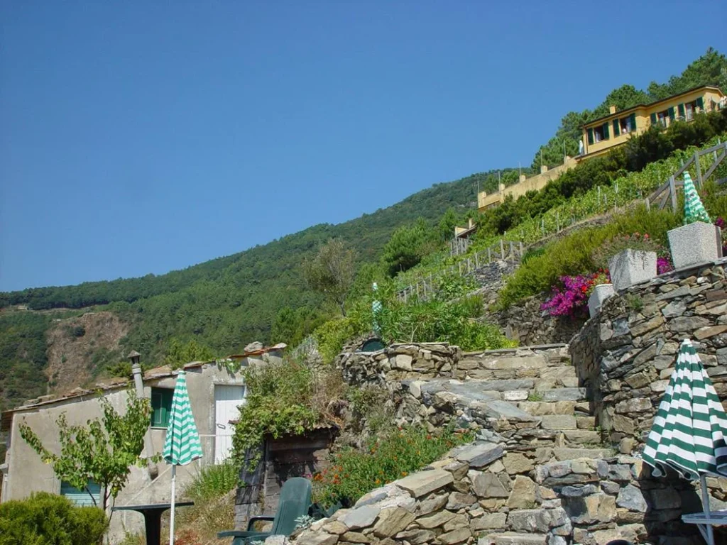 Liguria borgo di campi terrastuinen en parasols