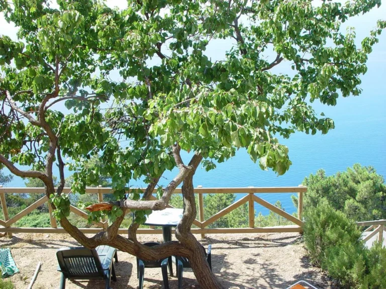 Liguria borgo di campi zitplaats onder bomen