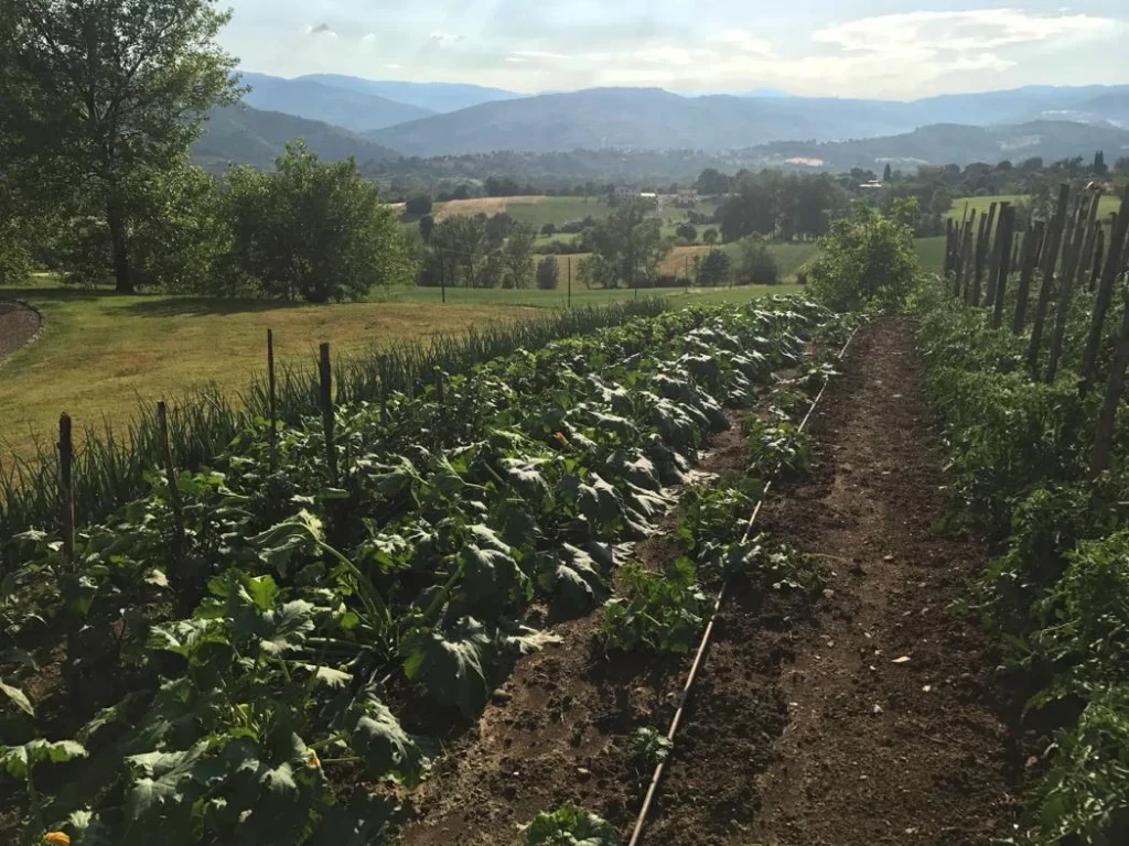 Noord toscane antico fio moestuin met heuveluitzicht