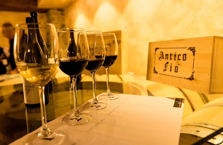 Noord toscane antico fio wijnglazen op tafel