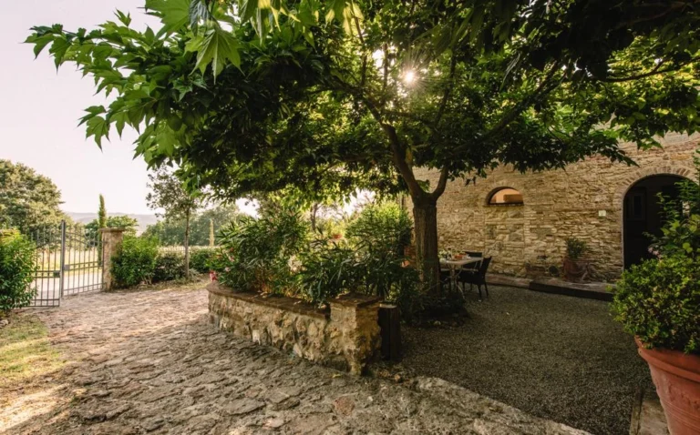 Noord toscane tenuta quarrata binnenplaats met schaduwboom