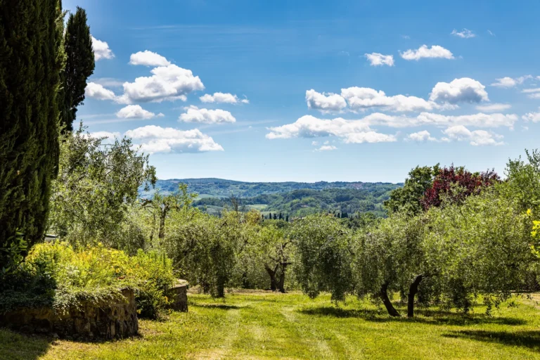 Noord toscane tenuta quarrata olijfgaard met heuveluitzicht