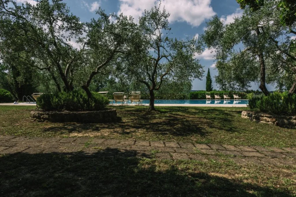 Noord toscane tenuta quarrata zwembad tussen olijfbomen