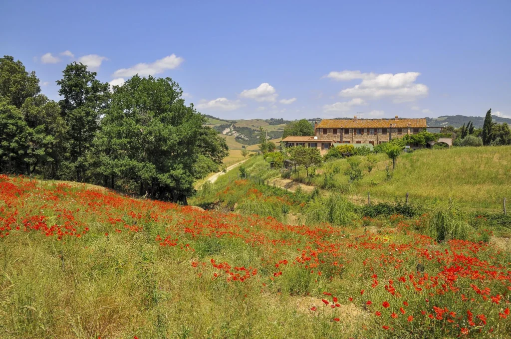 Podere Barbaiano